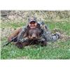 Image 4 : 5 - DAY RIFLE OR ARCHERY HUNT FOR BEAR IN MONTANA SPRING SEASON