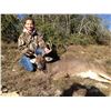 Image 2 : 3 - DAY/2 NIGHT WHITETAIL BUCK COMBO FOR 2 HUNTERS IN TEXAS