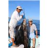 Image 2 : 4 - DAY/3-NIGHT EL CARMEN ISLAND FISHING VACATION FOR 4 ANGLERS
