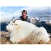 Image 2 : COLORADO ROCKY MOUNTAIN GOAT LICENSE