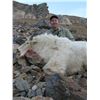 Image 3 : COLORADO ROCKY MOUNTAIN GOAT LICENSE