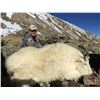 Image 4 : COLORADO ROCKY MOUNTAIN GOAT LICENSE