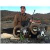 Image 2 : 5 - DAY MOUFLON HUNT IN MACEDONIA FOR 2 HUNTERS (Trophy Fee for 1 mouflon and Daily Rates for 2 Hunt