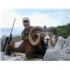 Image 2 : 3 - DAY FREE RANGE EUROPEAN MOUFLON HUNT IN CROATIA FOR 1 HUNTER (Trophy fee for European Mouflon in
