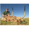 Image 2 : 8 - DAY GEMSBUCK, IMPALA, BLESBUCK, WARTHOG AND SPRINGBUCK HUNT FOR 2 HUNTERS AND 2 - NON HUNTERS (T