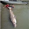 Image 3 : 4th ANNUAL JURASSIC CLASSIC STURGEON FISHING TOURNAMENT • 2 - DAY TRIP FOR 2 ANGLERS