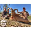 Image 2 : 5 - DAY AOUDAD HUNT FOR 2 HUNTERS & 2 NON-HUNTERS (Opportunity to take a WWO soldier hunting in Texa