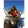 Image 2 : 2 - DAY GUIDES CHOICE MANAGEMENT HUNT FOR MULE DEER FOR 1 HUNTER & 1 NON-HUNTER