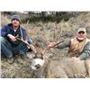 Image 4 : 2 - DAY GUIDES CHOICE MANAGEMENT HUNT FOR MULE DEER FOR 1 HUNTER & 1 NON-HUNTER