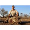 Image 4 : 7 - DAY IMPALA, ZEBRA, WARTHOG, RED HARTEBEEST, BLUE WILDEBEEST & BLESBUCK HUNT FOR 3 HUNTERS (Troph