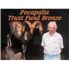 Image 2 : POCAPALIA TRUST FUND BRONZE