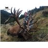 Image 7 : 5 - DAY NEW ZEALAND RED STAG HUNT FOR 2 HUNTERS SCORING UP TO 400 SCI