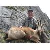 Image 2 : 4 - DAYS PYRENEAN CHAMOIS HUNT FOR 1 HUNTER