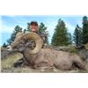 BRITISH COLUMBIA SPECIAL MOUNTAIN SHEEP PERMIT