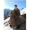 Image 2 : BRITISH COLUMBIA SPECIAL MOUNTAIN SHEEP PERMIT