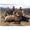 TAOS PUEBLO ROCKY MOUNTAIN BIGHORN SHEEP PERMIT - GORGE HUNT