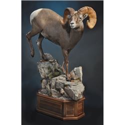 LIFE-SIZE FLOOR PEDESTAL MOUNT