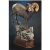 Image 1 : LIFE-SIZE FLOOR PEDESTAL MOUNT