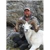Image 2 : KLUANE FIRST NATION DALL’S SHEEP PERMIT