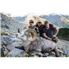 Image 2 : 13 - DAY STONE’S SHEEP HUNT IN BRITISH COLUMBIA FOR 1 - HUNTER