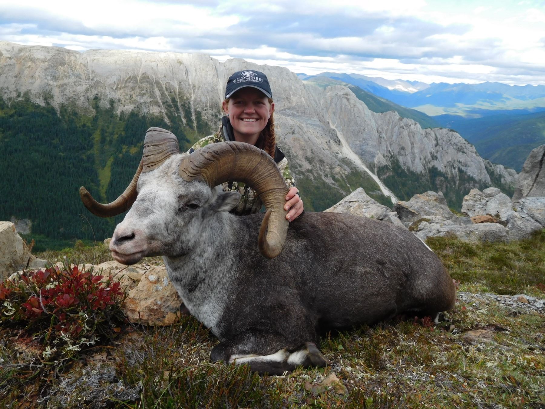 13 DAY STONE’S SHEEP HUNT IN BRITISH COLUMBIA FOR 1 HUNTER WSF