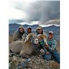 Image 4 : WYOMING ROCKY MOUNTAIN BIGHORN SHEEP LICENSE