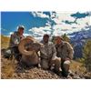 Image 5 : WYOMING ROCKY MOUNTAIN BIGHORN SHEEP LICENSE