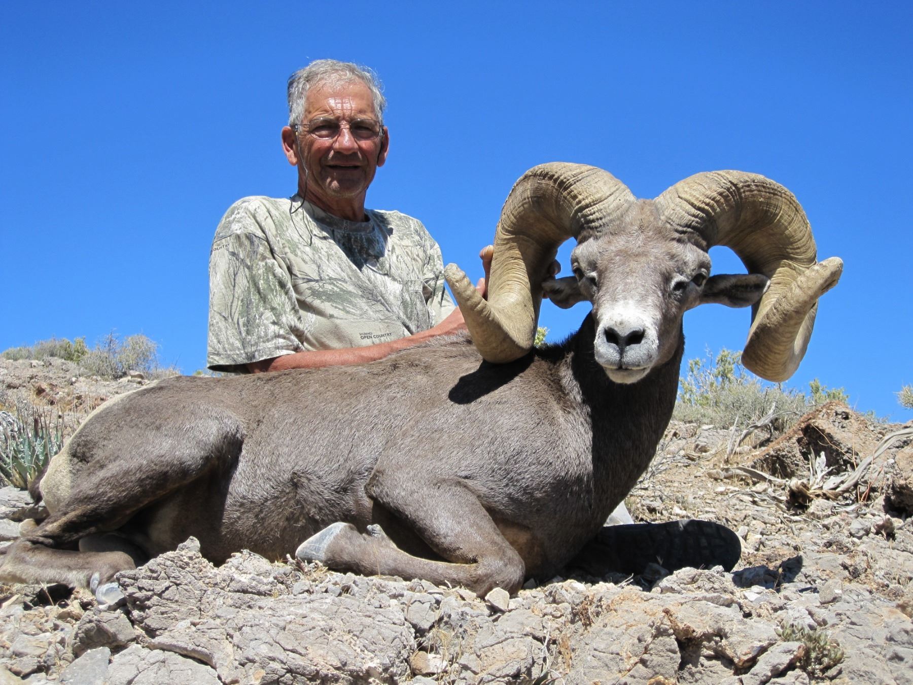 State Of Nevada Nelson Desert Bighorn Sheep Tag