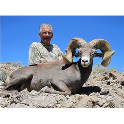 STATE OF NEVADA NELSON DESERT BIGHORN SHEEP TAG