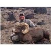 Image 2 : STATE OF NEVADA NELSON DESERT BIGHORN SHEEP TAG