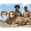 5 - DAY URIAL IN PAKISTAN FOR 1 HUNTER (Hunter's Choice of either Afghan, Punjab or Blandford Urial)