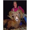 Image 1 : ALBERTA MINISTER’S SPECIAL BIGHORN SHEEP PERMIT