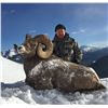 Image 3 : ALBERTA MINISTER’S SPECIAL BIGHORN SHEEP PERMIT