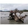 Image 2 : 12 - DAY DALL’S SHEEP/WOLF/WOLVERINE HUNT IN THE NORTHWEST TERRITORIES FOR 1 HUNTER & 1 NON-HUNTER G