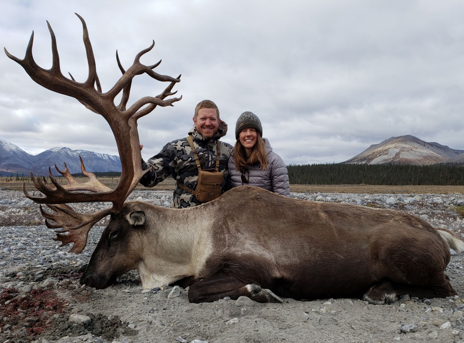 12 - DAY DALL’S SHEEP/WOLF/WOLVERINE HUNT IN THE NORTHWEST TERRITORIES ...