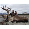 Image 8 : 12 - DAY DALL’S SHEEP/WOLF/WOLVERINE HUNT IN THE NORTHWEST TERRITORIES FOR 1 HUNTER & 1 NON-HUNTER G