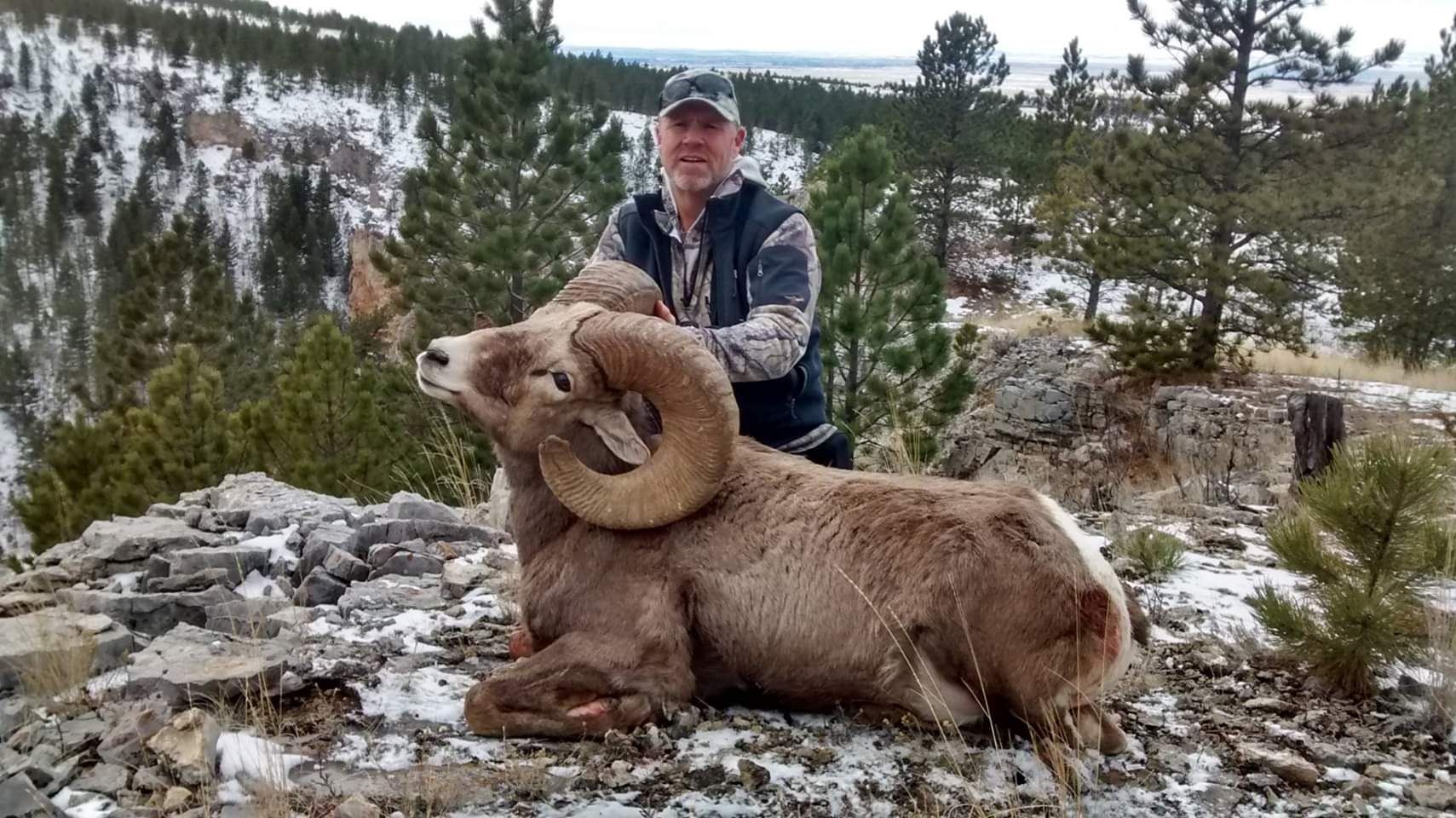 2019 FORT BELKNAP INDIAN RESERVATION BIGHORN SHEEP PERMIT WSF World