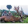 Image 2 : 6 - DAY/5-NIGHT NEW ZEALAND HUNT - WINNING BIDDER TO TAKE UP TO 400 SCI RED STAG PLUS TAHR AND A WWO