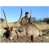 8-Day Training Safari for Up to 3 -Adult & Youth African Hunters