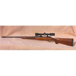 Ruger Hawkeye M77 in .243 Win
