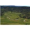 Image 2 : 5-DAY PRIVATE LAND (FREE RANGE) ROCKY MOUNTAIN BIGHORN SHEEP HUNT FOR A MANAGEMENT RAM (SELECTED BY 
