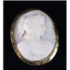 Image 1 : LARGE OVAL CAMEO PIN