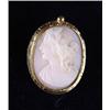 Image 1 : CAMEO AND GOLD PIN