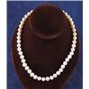 Image 1 : CULTURED PEARL NECKLACE