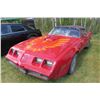 Image 2 : 1981 PONTIAC TRANS AM CONVERTIBLE