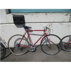 Vintage 12 Speed (1970's) - Street Bike