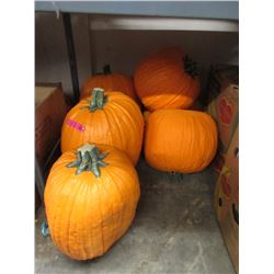 6 Movie Prop Pumpkins