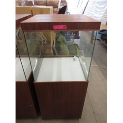 Interior Lit Floor Standing Display Case