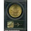 Image 2 : 1895 $20 MS63 PCGS. One of the more available
