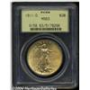 Image 1 : 1911-D $20 MS63 PCGS. The bright, grainy and